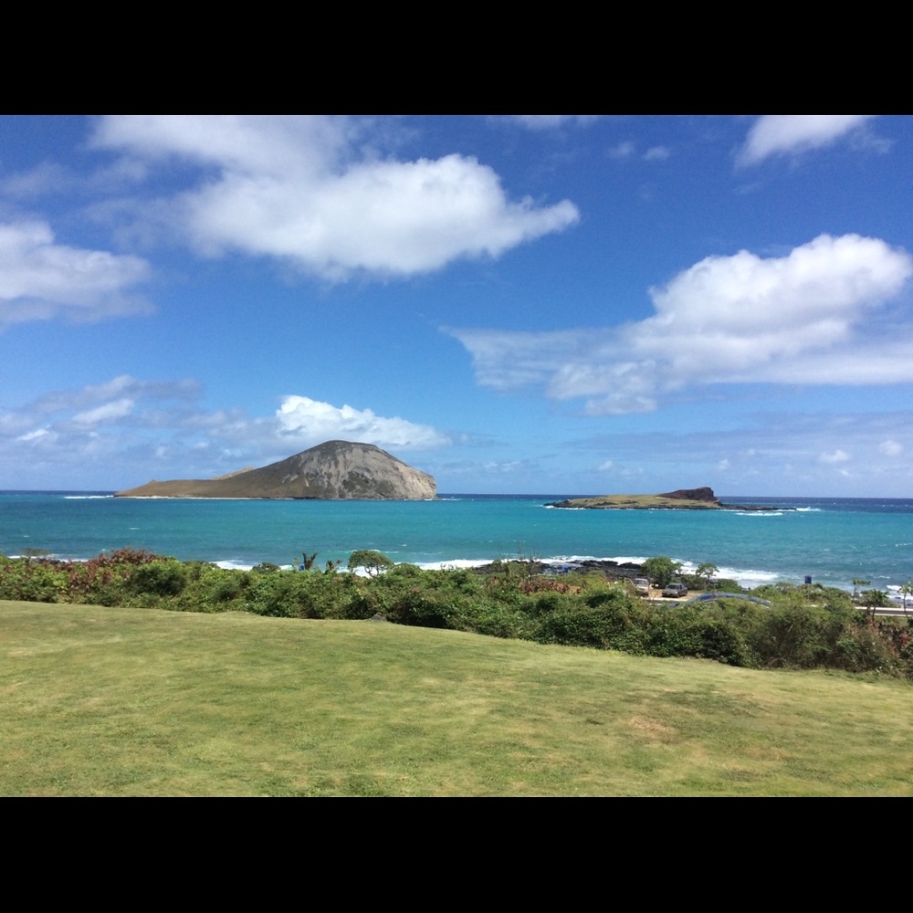 Meet your Posher, Tabbye